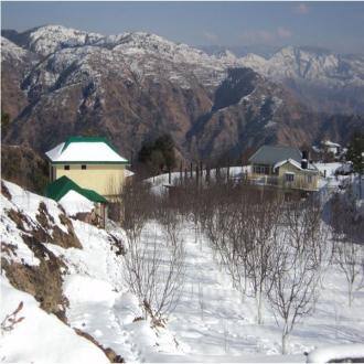 TG Stays Neen Village, Shimla 3
